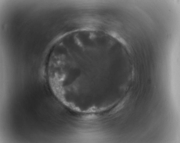X0000089761454200707201933