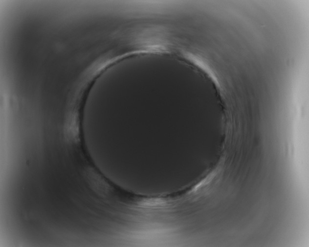 X0000089761455200707201933