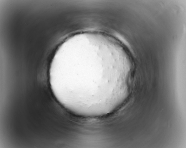 X0000089761456200707201933