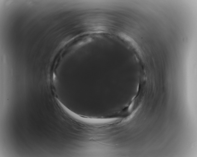 X0000089761457200707201932