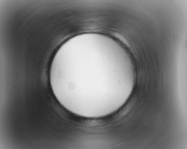 X0000089761458200707201932