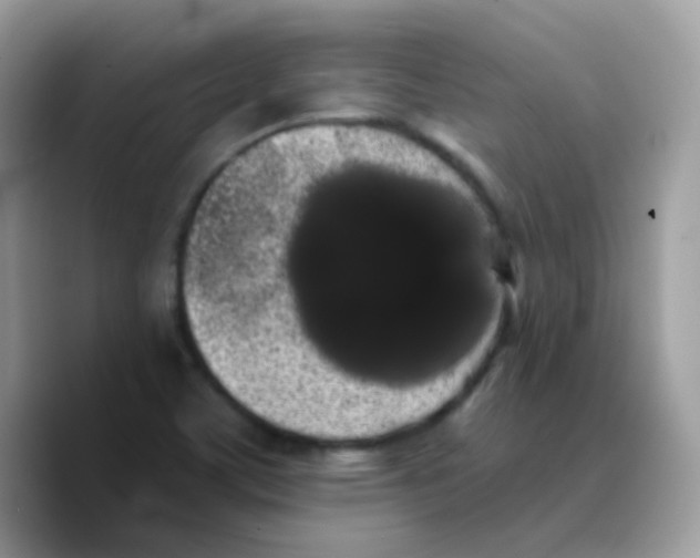 X0000089761459200707201932