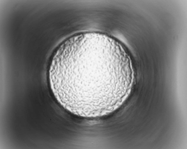 X0000089761460200707201932