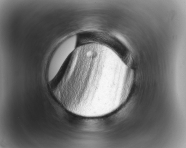 X0000089761461200707201932