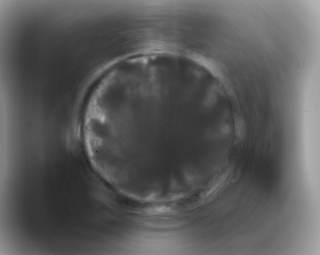 X0000089761462200707201932