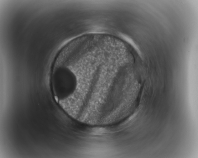 X0000089761463200707201932