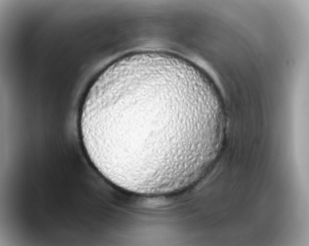 X0000089761464200707201932