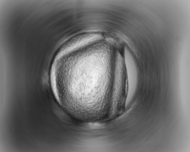 X0000089761465200707201932