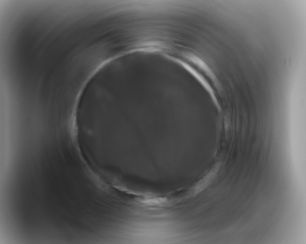 X0000089761466200707201932
