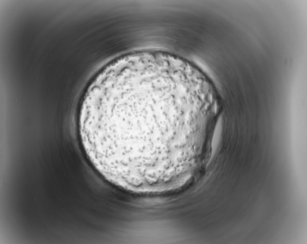 X0000089761468200707201932