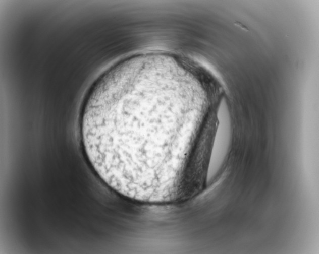 X0000089761469200707201932