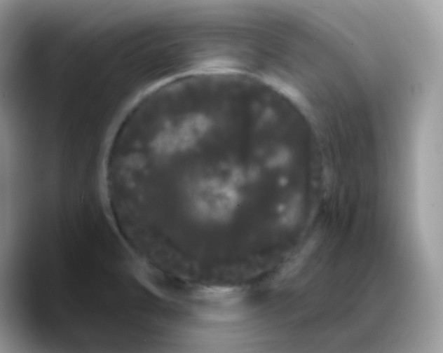 X0000089761470200707201932