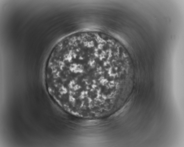 X0000089761471200707201932