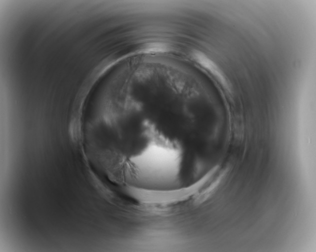 X0000089761473200707201932