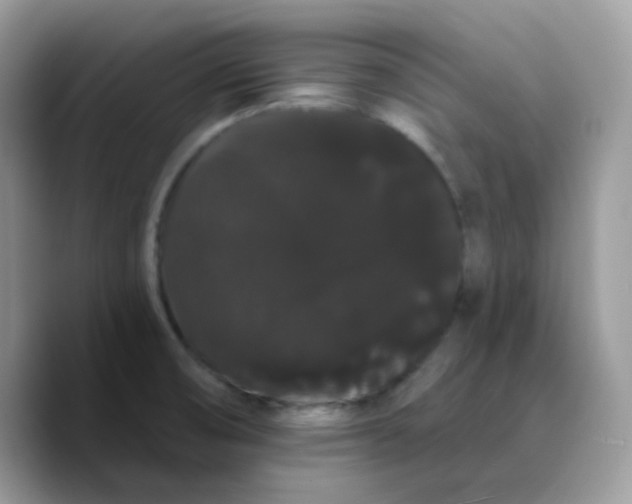 X0000089761474200707201932