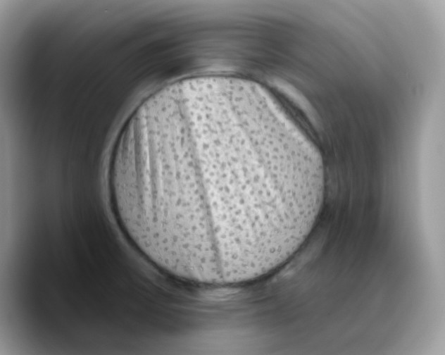 X0000089761475200707201932