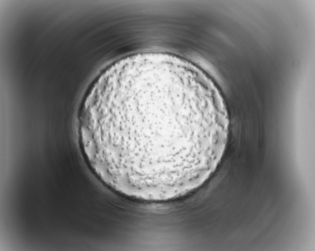 X0000089761476200707201932