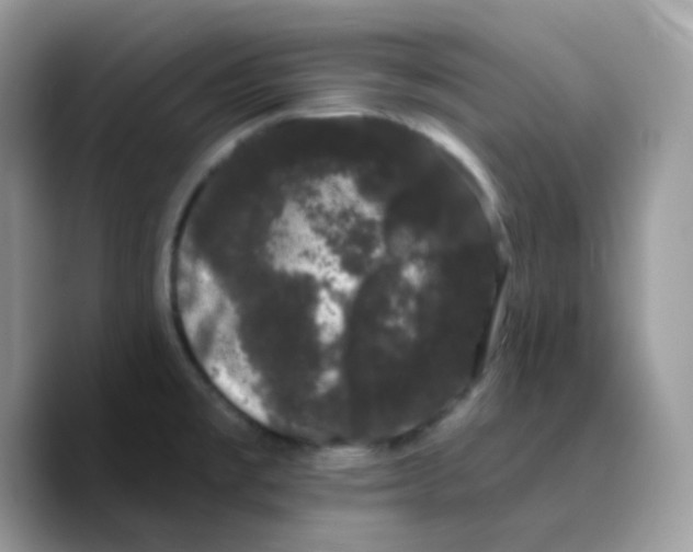 X0000089761477200707201932
