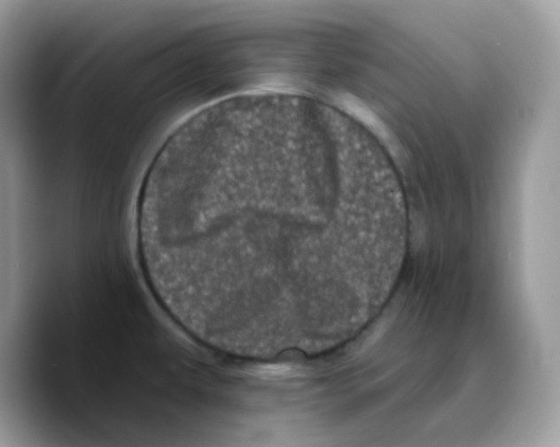 X0000089761479200707201932