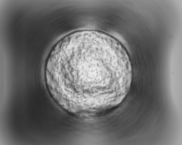 X0000089761480200707201932
