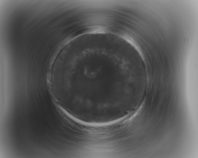 X0000089761481200707201932