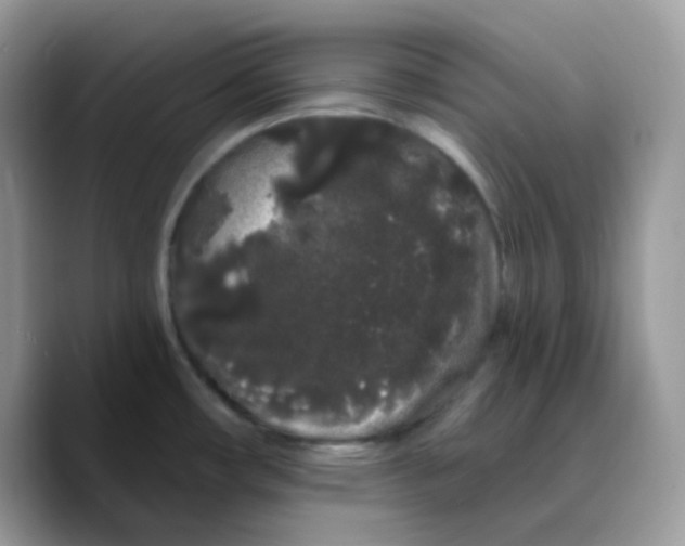 X0000089761482200707201932