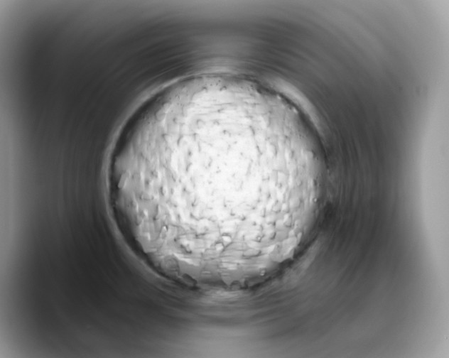 X0000089761483200707201932