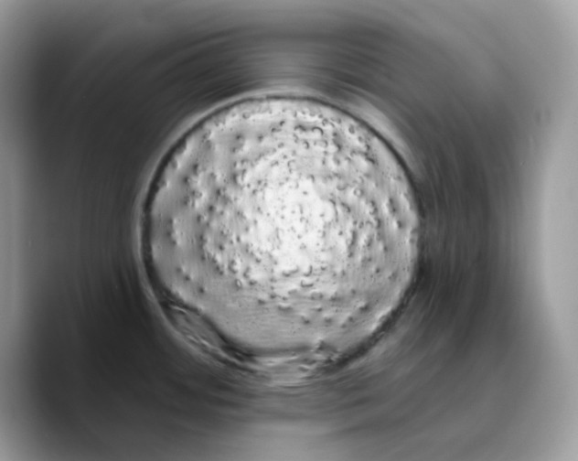 X0000089761484200707201932