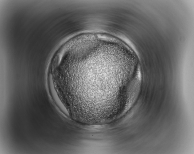 X0000089761485200707201932