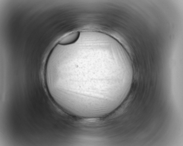 X0000089761486200707201932
