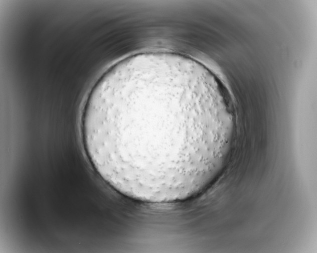 X0000089761488200707201932