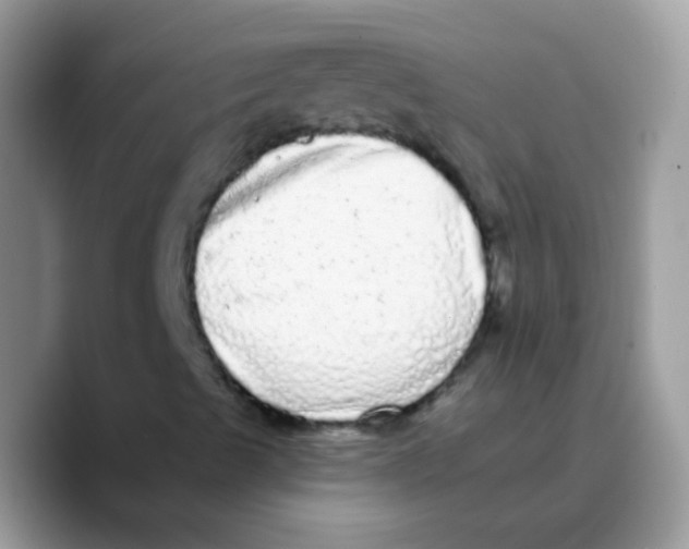 X0000089761489200707201931