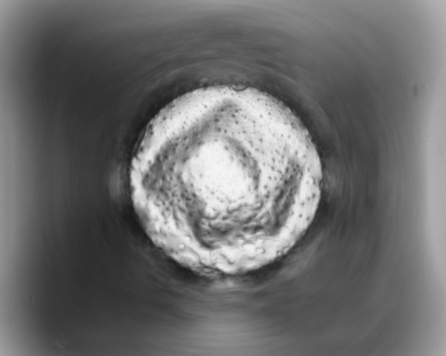 X0000089761490200707201931