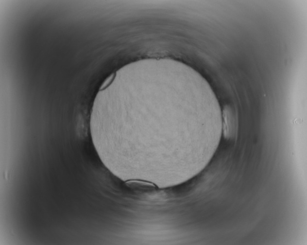 X0000089761491200707201931