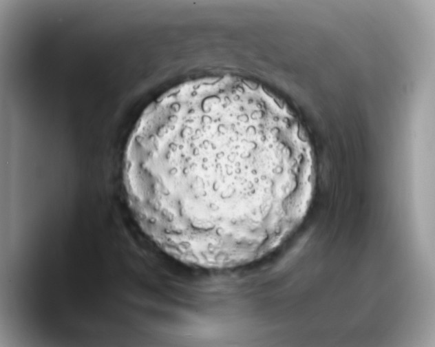X0000089761494200707201932
