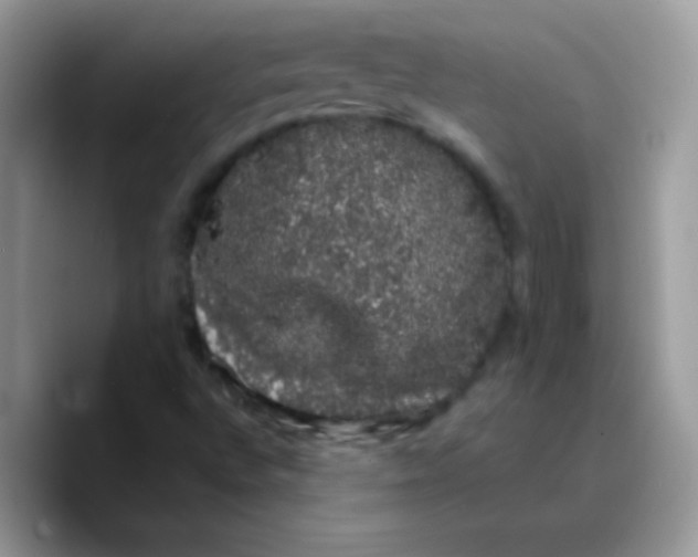 X0000089761496200707201932