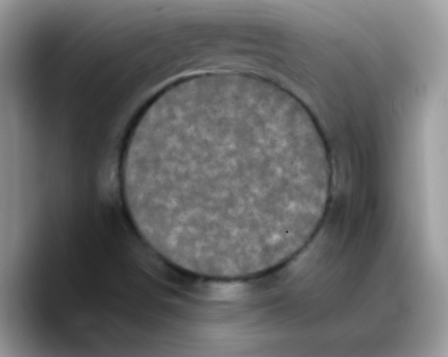 X0000089761498200707201932