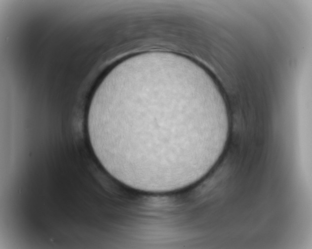 X0000089761499200707201932