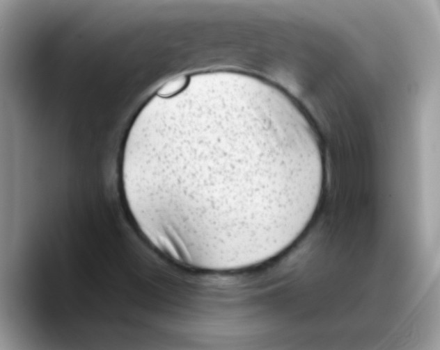X0000089761500200707201932