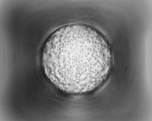 X0000089761501200707201932