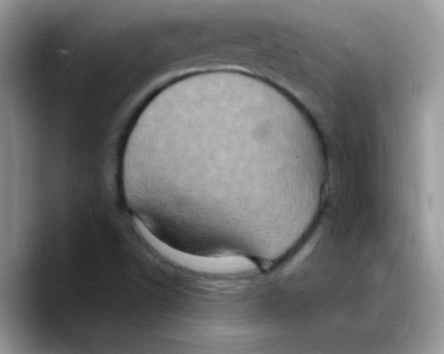 X0000089761502200707201932