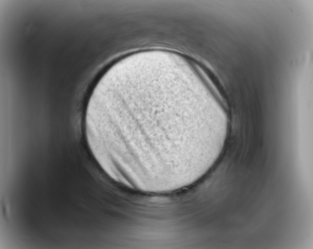 X0000089761503200707201932