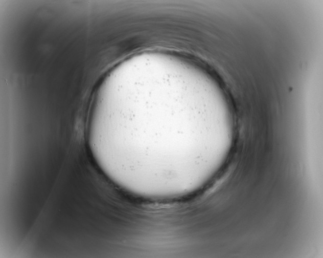 X0000089761505200707201932