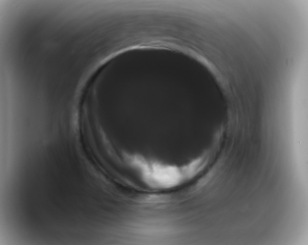 X0000089761506200707201932