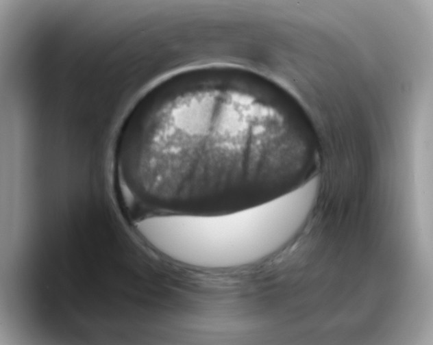 X0000089761508200707201932