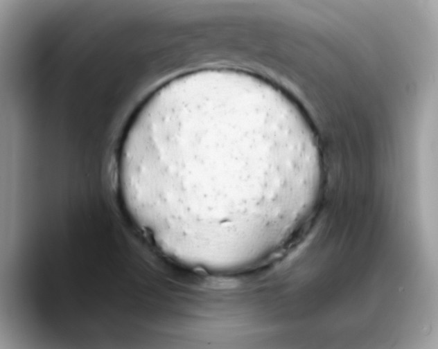 X0000089761509200707201932