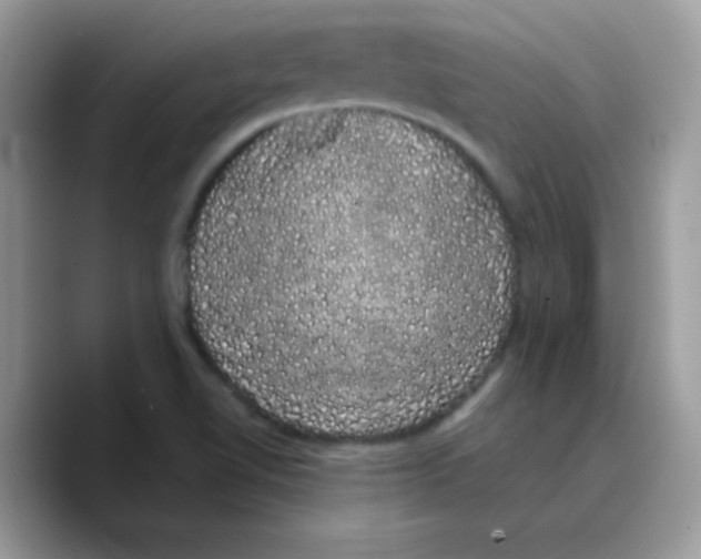X0000089761510200707201932