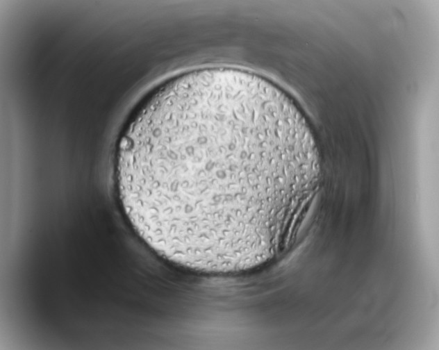 X0000089761511200707201932