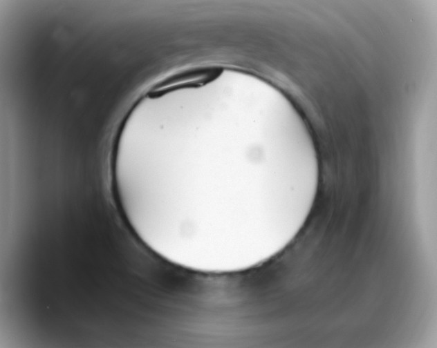 X0000089761512200707201932