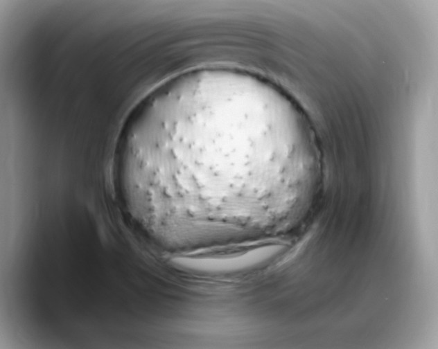 X0000089761513200707201932